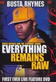 Busta Rhymes: Everything Remains Raw - постер