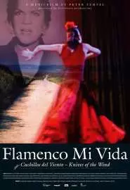 Flamenco mi vida - Knives of the wind - постер