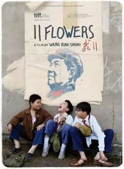 11 цветов - постер