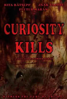 Curiosity Kills - постер