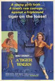 Прогулка с тиграми - постер