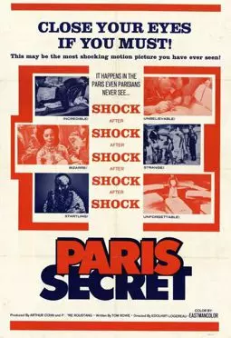 Paris Secret - постер