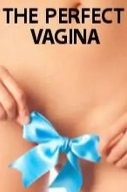 The Perfect Vagina - постер