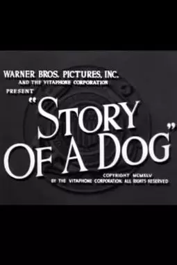 История собаки - постер