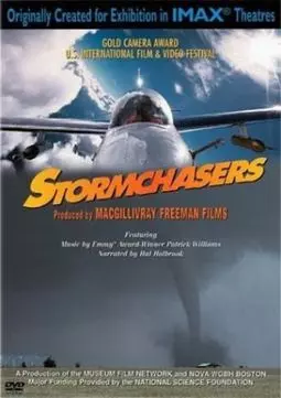 Stormchasers - постер