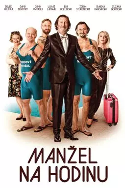 Manzel na hodinu - постер
