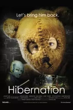 Hibernation - постер