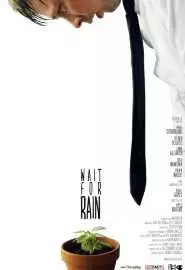 Wait for Rain - постер