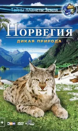 Норвегия 3D: Дикая природа - постер