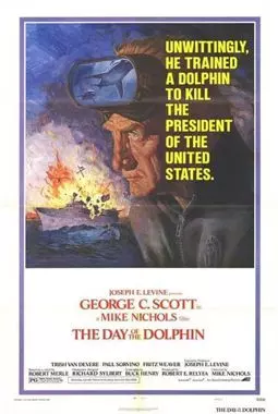 День дельфина - постер