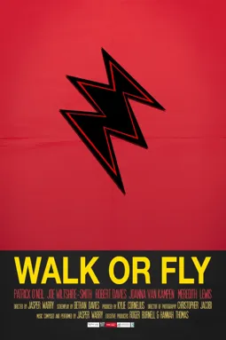 Walk or Fly - постер