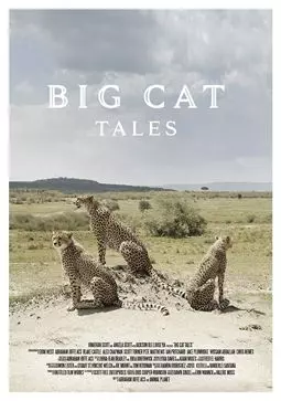 Big Cat Tales - постер