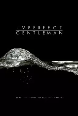 Imperfect Gentleman - постер