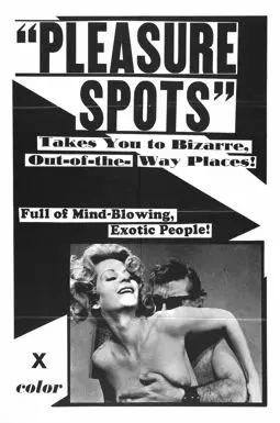 Pleasure Spots - постер