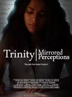 Trinity: Mirrored Perceptions - постер