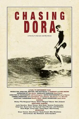 Chasing Dora - постер