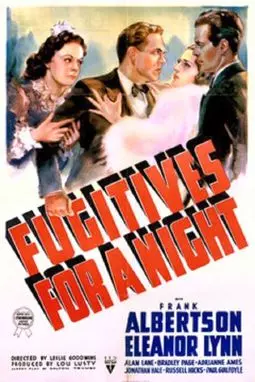 Fugitives for a night - постер