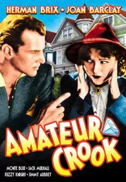 Amateur Crook - постер