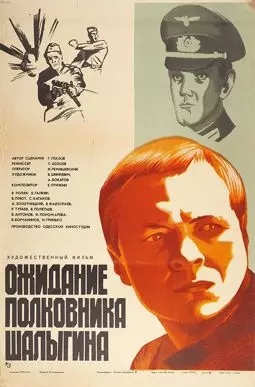 Ожидание Полковника Шалыгина - постер
