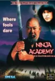 Академия ниндзя - постер