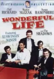 Wonderful Life - постер