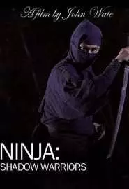 Ninja Shadow Warriors - постер