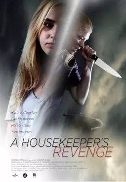 A Housekeeper's Revenge - постер