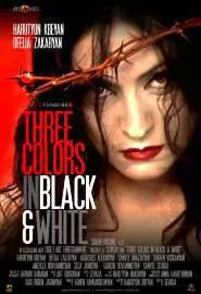 Three Colors in Black & White - постер