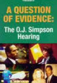 A Question of Evidence - постер