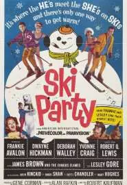 Ski Party - постер