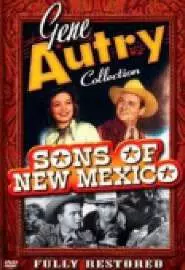 Sons of ew Mexico - постер