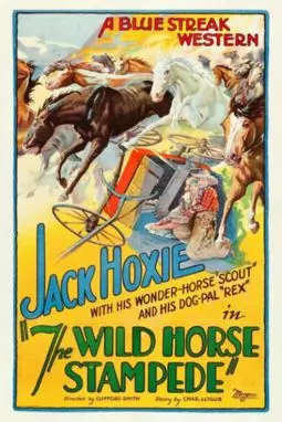 The Wild Horse Stampede - постер