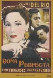 Doña Perfecta - постер