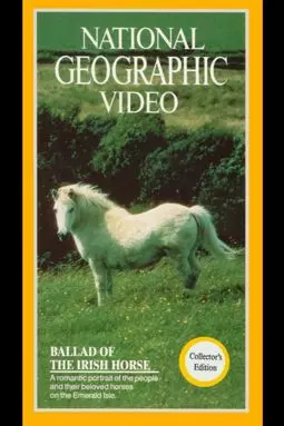 Ballad of the Irish Horse - постер