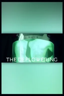The Deflowering - постер