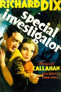 Special Investigator - постер
