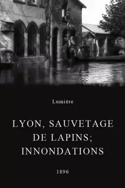 Lyon, sauvetage de lapins; innondations - постер