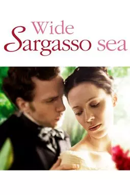 Широкое Саргассово море - постер