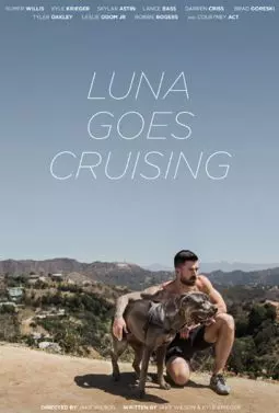 Luna Goes Cruising - постер