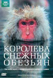 Королева снежных обезьян - постер