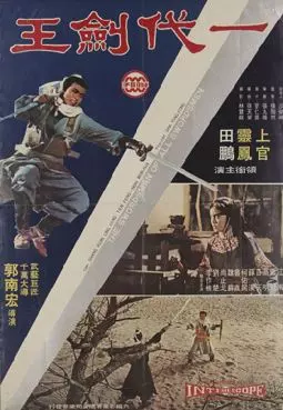 Yi dai jian wang - постер