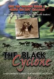 Black Cyclone - постер