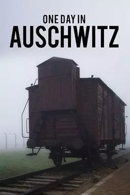 Один день в Освенциме - постер