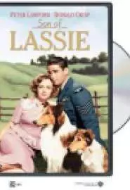 Son of Lassie - постер