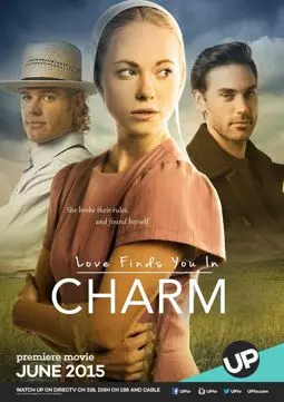 Love Finds You in Charm - постер