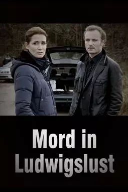 Mord in Ludwigslust - постер