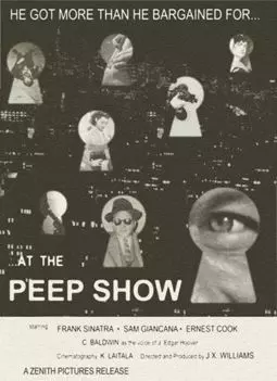 Peep Show - постер