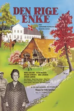 Den rige enke - постер