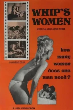 Whip's Women - постер