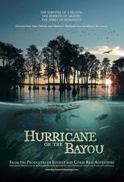 Ураган на Байу - постер